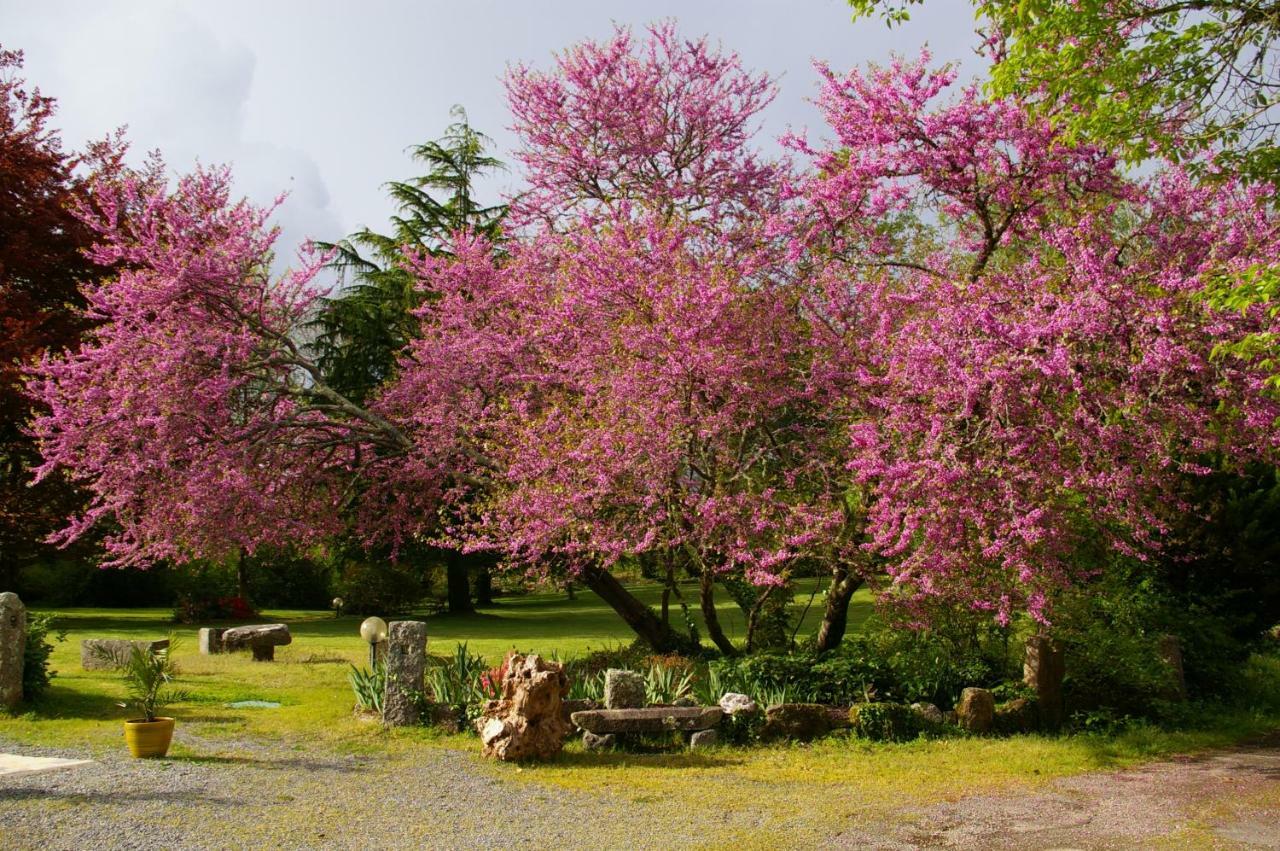 Domaine Les Grandes Roches Bed and Breakfast Trégunc Buitenkant foto
