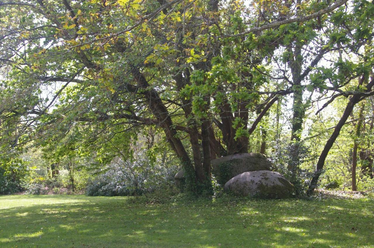 Domaine Les Grandes Roches Bed and Breakfast Trégunc Buitenkant foto